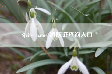 府谷消防证查询入口