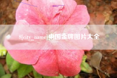 府谷中国金牌图片大全