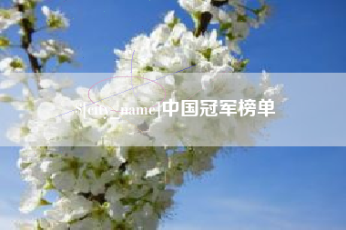 府谷中国冠军榜单