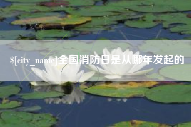 府谷全国消防日是从哪年发起的