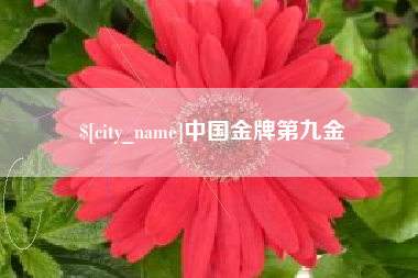 府谷中国金牌第九金