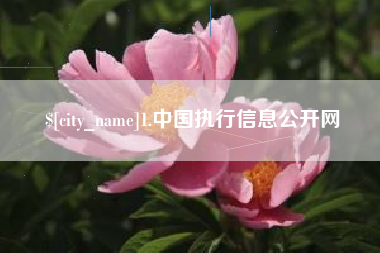 府谷1.中国执行信息公开网