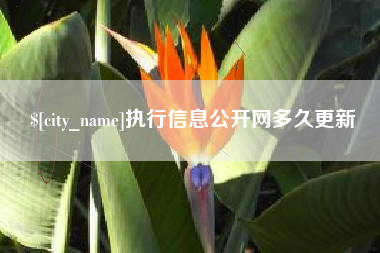 府谷执行信息公开网多久更新