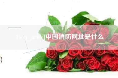 府谷中国消防网址是什么