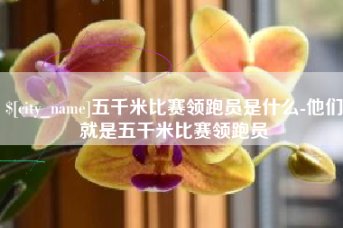府谷五千米比赛领跑员是什么-他们就是五千米比赛领跑员