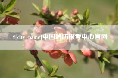 府谷中国消防报考中心官网