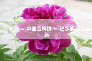 府谷中国金牌榜2024巴黎奥运会最新