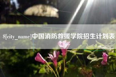 府谷中国消防救援学院招生计划表