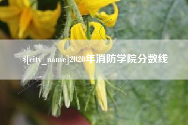 府谷2020年消防学院分数线