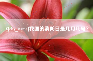 府谷我国的消防日是几月几号？