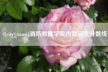 府谷消防救援学院内部招生分数线