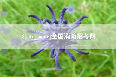 府谷全国消防招考网