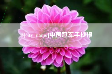 府谷中国冠军手抄报