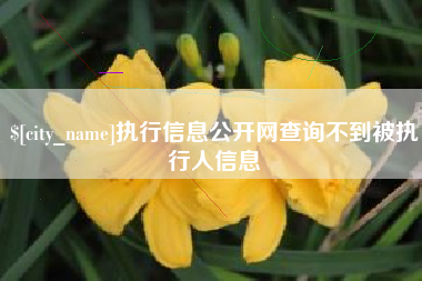 府谷执行信息公开网查询不到被执行人信息