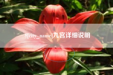 府谷九宫详细说明