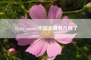 府谷中国金牌有几枚了