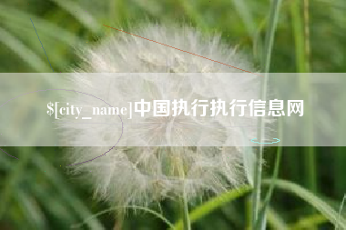 府谷中国执行执行信息网