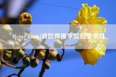 府谷消防救援学院招生条件