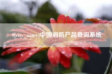 府谷中国消防产品查询系统