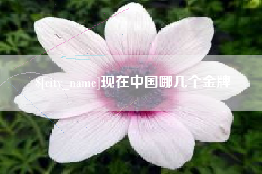 府谷现在中国哪几个金牌