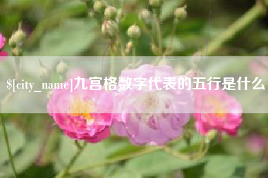 府谷九宫格数字代表的五行是什么