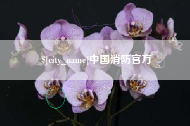 府谷中国消防官方