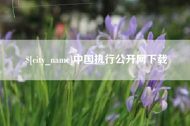 府谷中国执行公开网下载