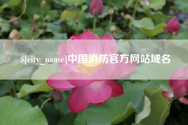 府谷中国消防官方网站域名