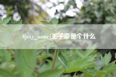府谷王子豪是个什么