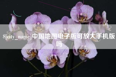 府谷中国地图电子版可放大手机版吗
