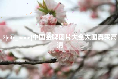 府谷中国金牌图片大全大图真实高清