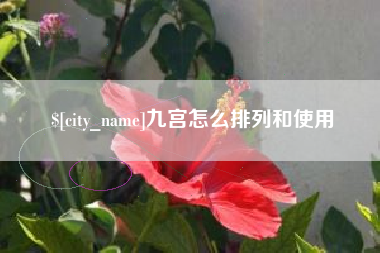 府谷九宫怎么排列和使用