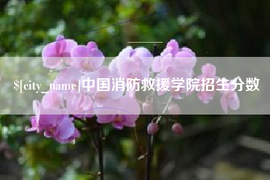 府谷中国消防救援学院招生分数