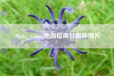 府谷地图指南针图标图片