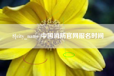 府谷中国消防官网报名时间