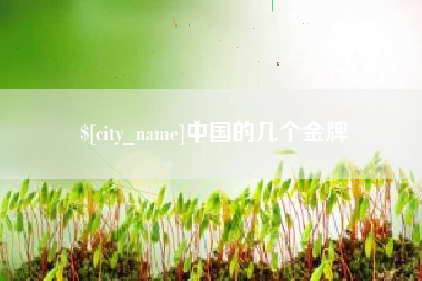 府谷中国的几个金牌