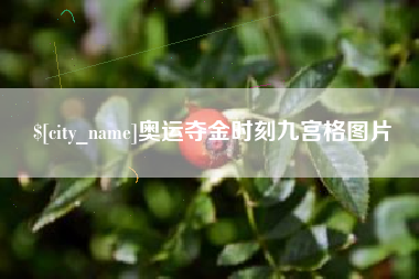 府谷奥运夺金时刻九宫格图片