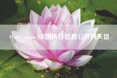府谷中国执行信息公开网失信