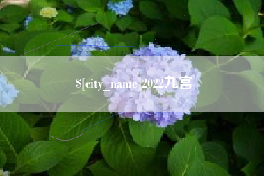 府谷2022九宫