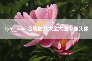 府谷金牌图片大全大图卡通头像