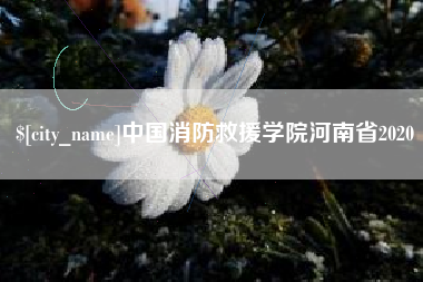 府谷中国消防救援学院河南省2020